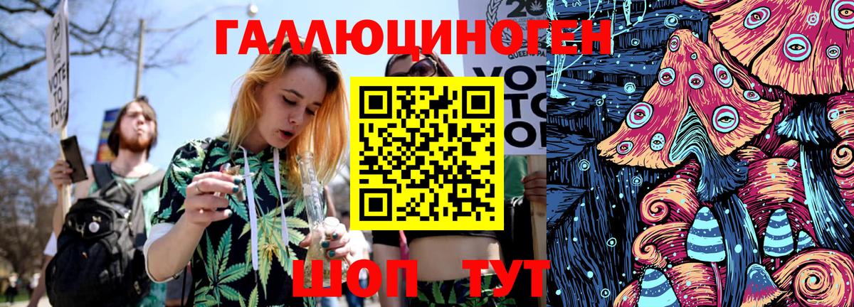 Саянск  Псилоцибиновые грибы Psilocybe  Вход с VPN 