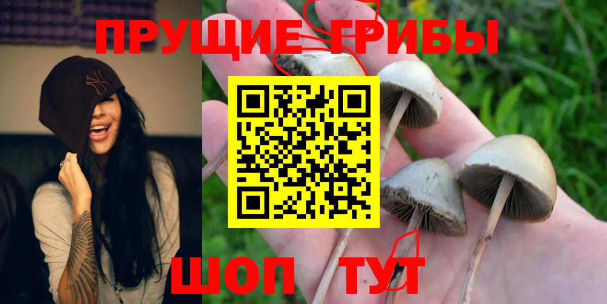 Галлюциногенные грибы ЛСД Саянск
